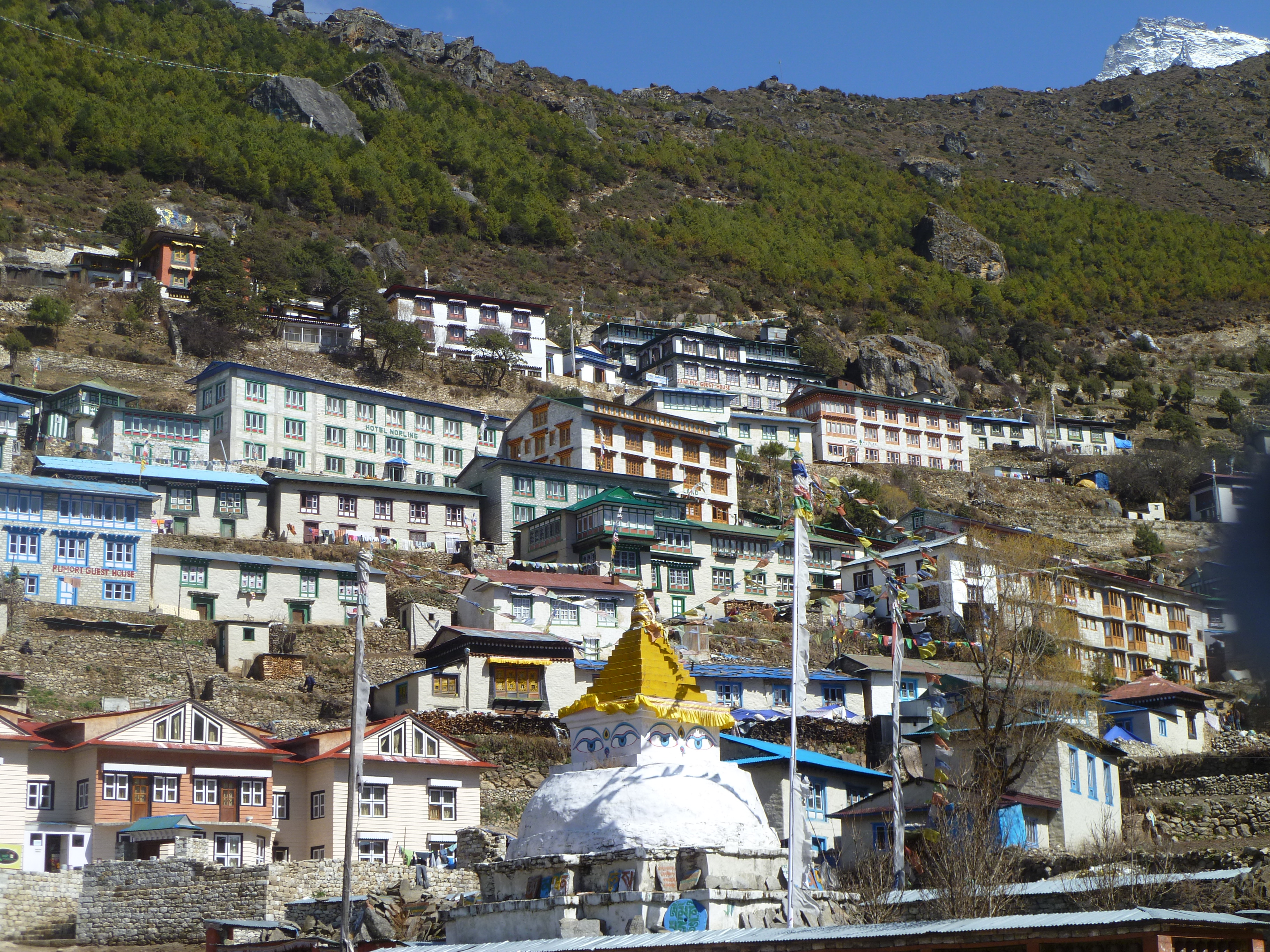 Beautiful village in Khumbu region