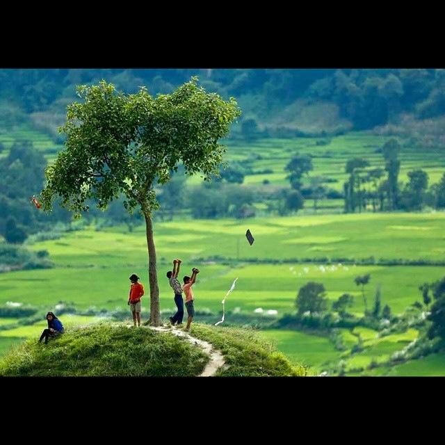 kite flying