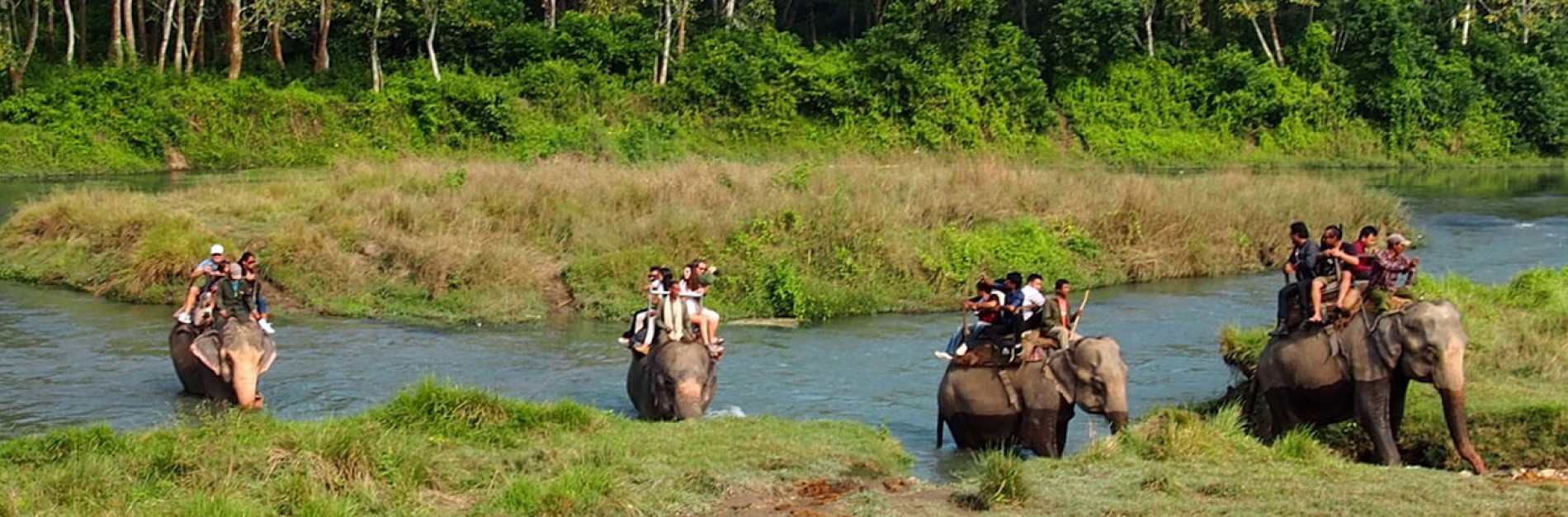 2 Nights And 3 Days Chitwan Safari image1 